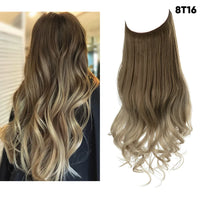 Brown to Ash Blonde + 1 FREE HALO