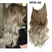 Brown to Cool Blonde + 1 FREE HALO