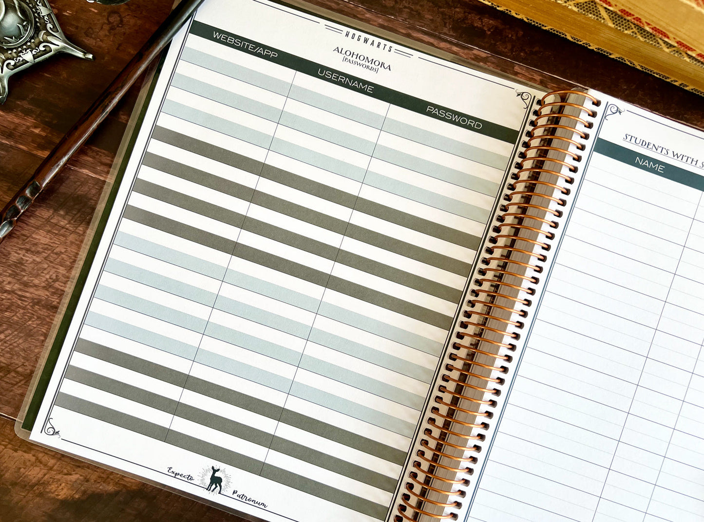 Harry Potter 2025-2026 Hogwarts Weekly Dated Teacher Planner (July - June)