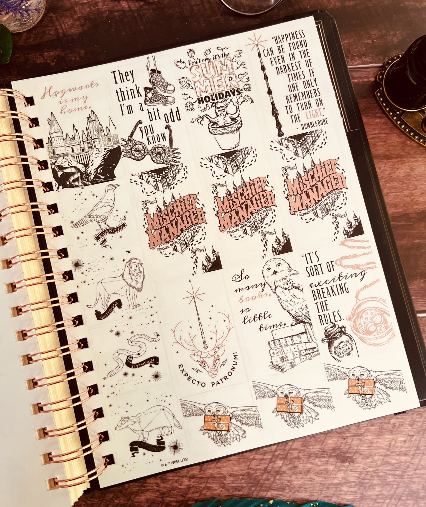 Harry Potter Enchanted Days 2026 Weekly Planner