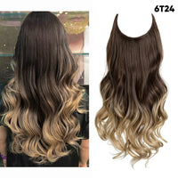 Dark Brown to Ash Blonde + 1 FREE HALO