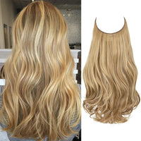 Sahara Beige + 1 FREE HALO