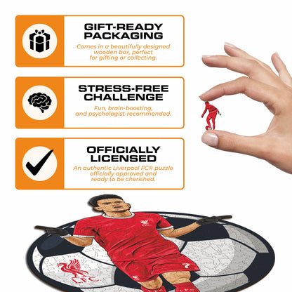 Luis Díaz - Wooden Puzzle