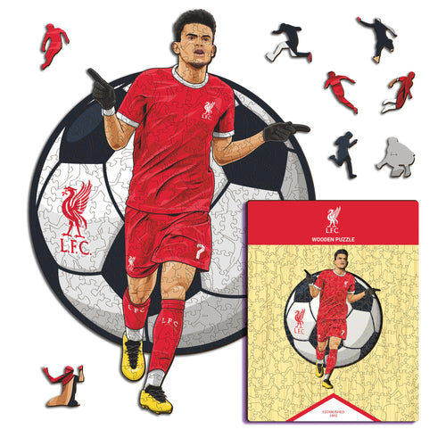 Luis Díaz - Wooden Puzzle